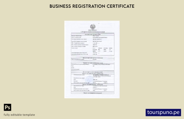 Plantilla de certificado de registro de Tayikistán lista para imprimir